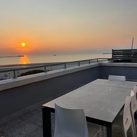 Rooftop D'exception Face A La